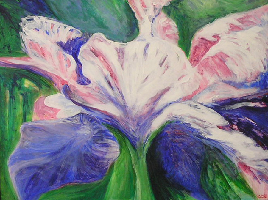 Iris, 2008, acrylic on paper, 60 x 80 cm